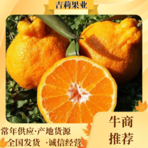 【爆品】宜昌丑橘耙耙柑，产地一手货源，农户一手批发价