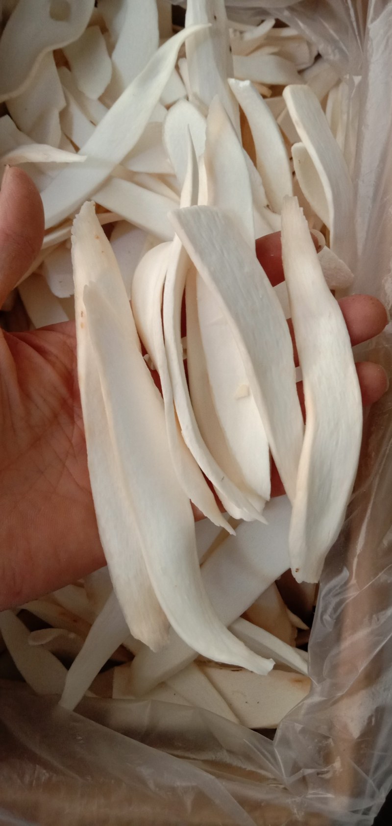 铁棍山药广山药，淮山药