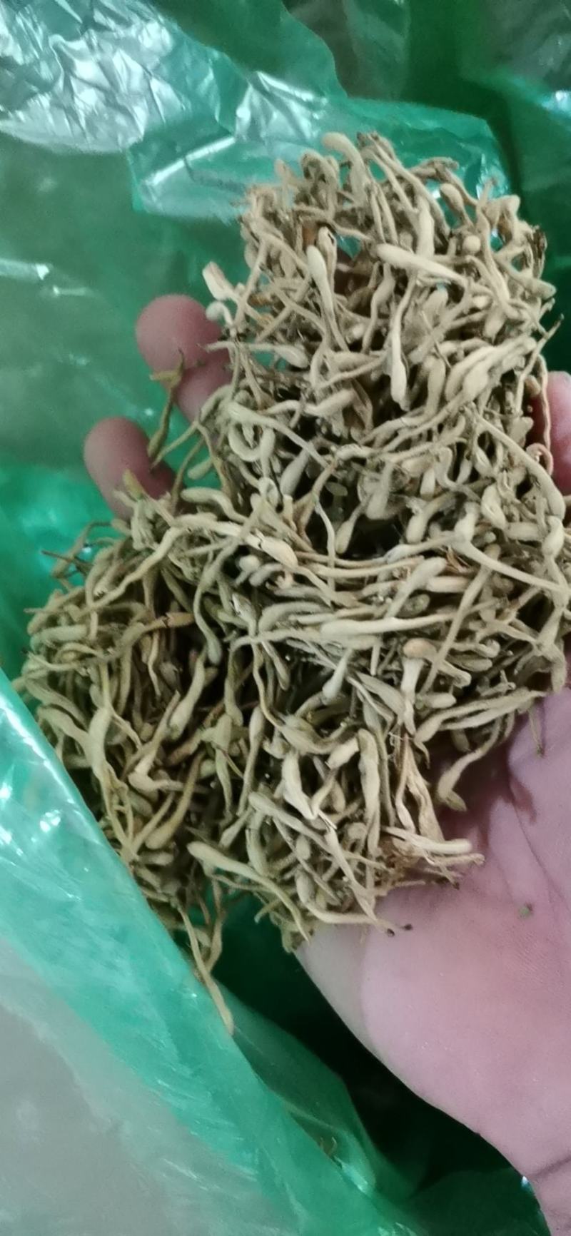 【】精品金银花营养价值高产地直发