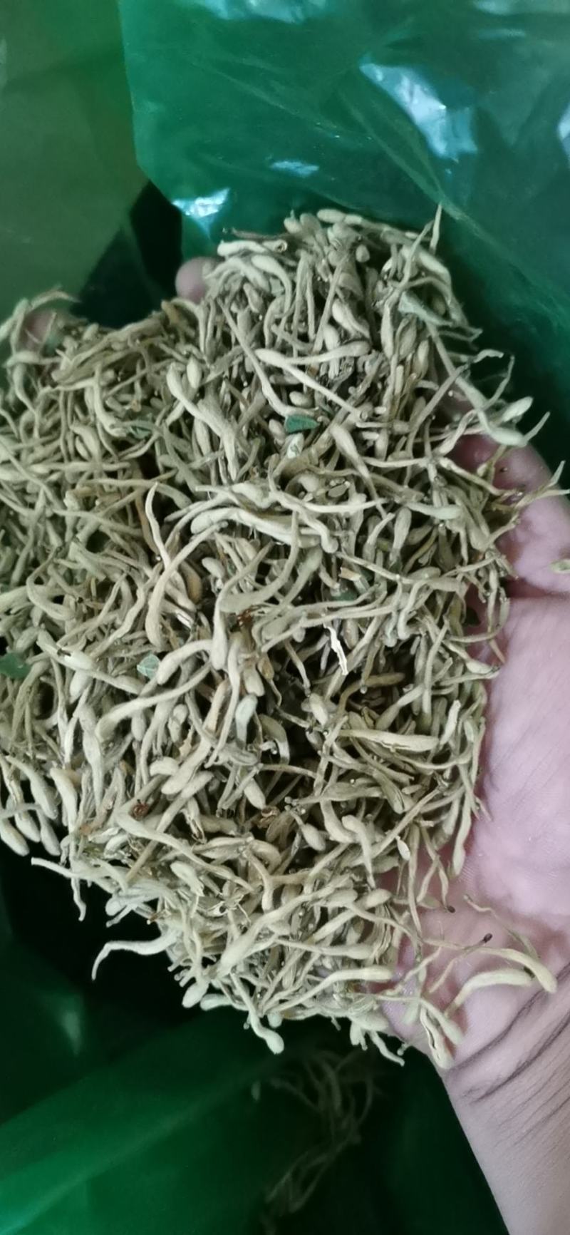 【】精品金银花营养价值高产地直发
