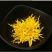 【网红产品】金丝皇菊茶特级品质全国发货