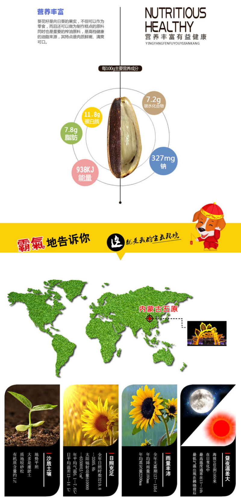 内蒙古巴盟香瓜子大颗粒五香焦糖胖可憨优质瓜子