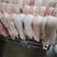 厂家直销冷链倒四六猪肉