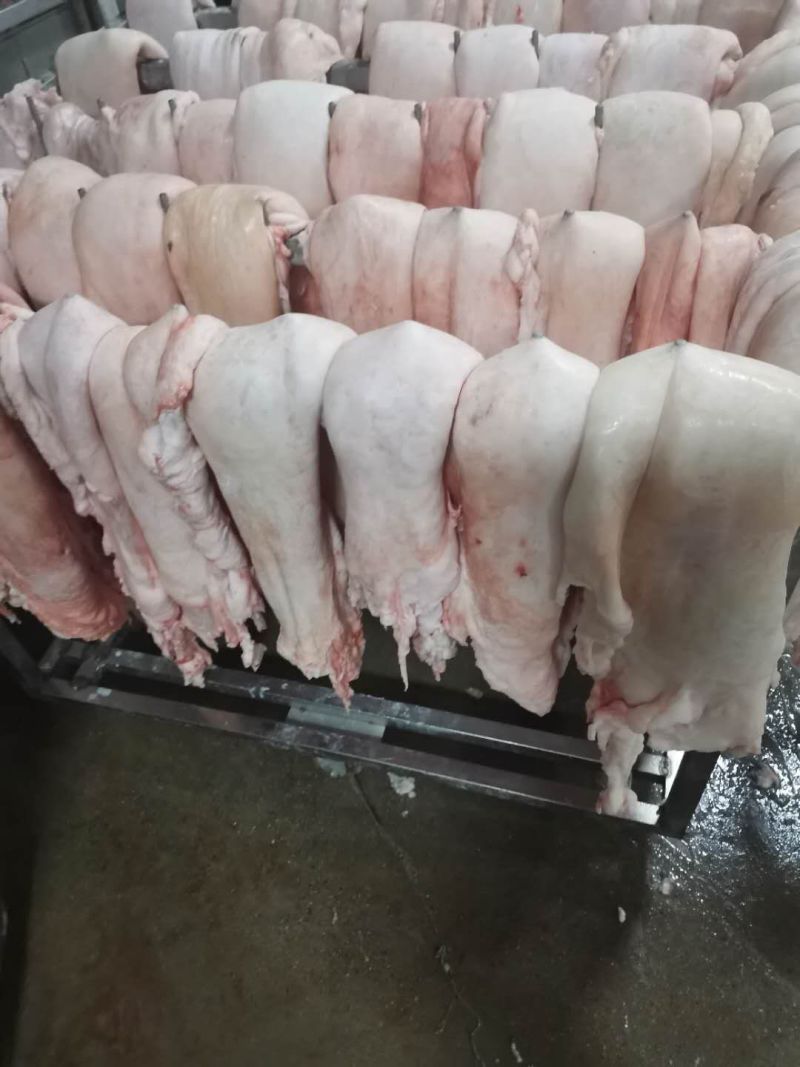 厂家直销冷链倒四六猪肉