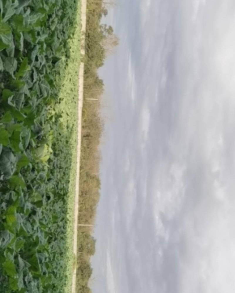 生产基地，直销，质量保证