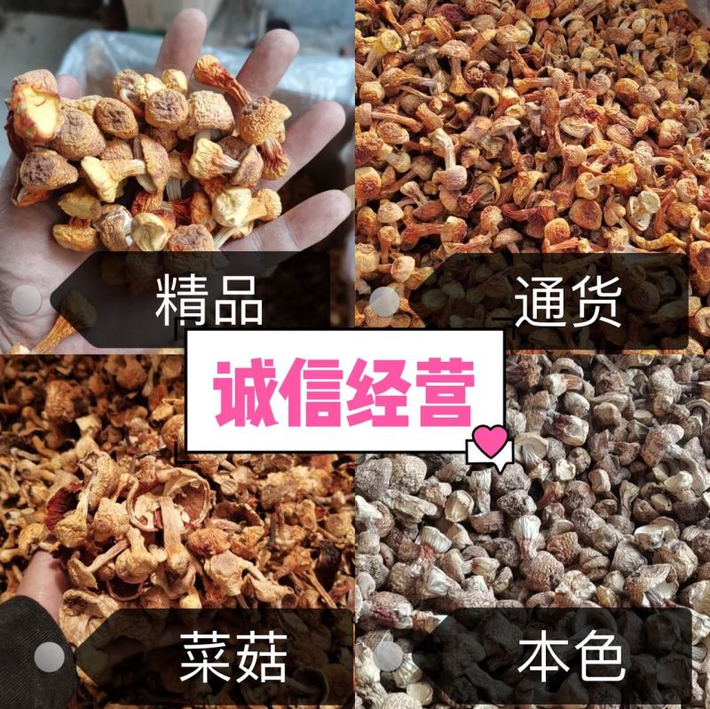 姬松茸也叫巴西菇煲汤佳品老少皆宜营养丰富