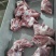 山东省临沂市冷库直销猪肥膘肉