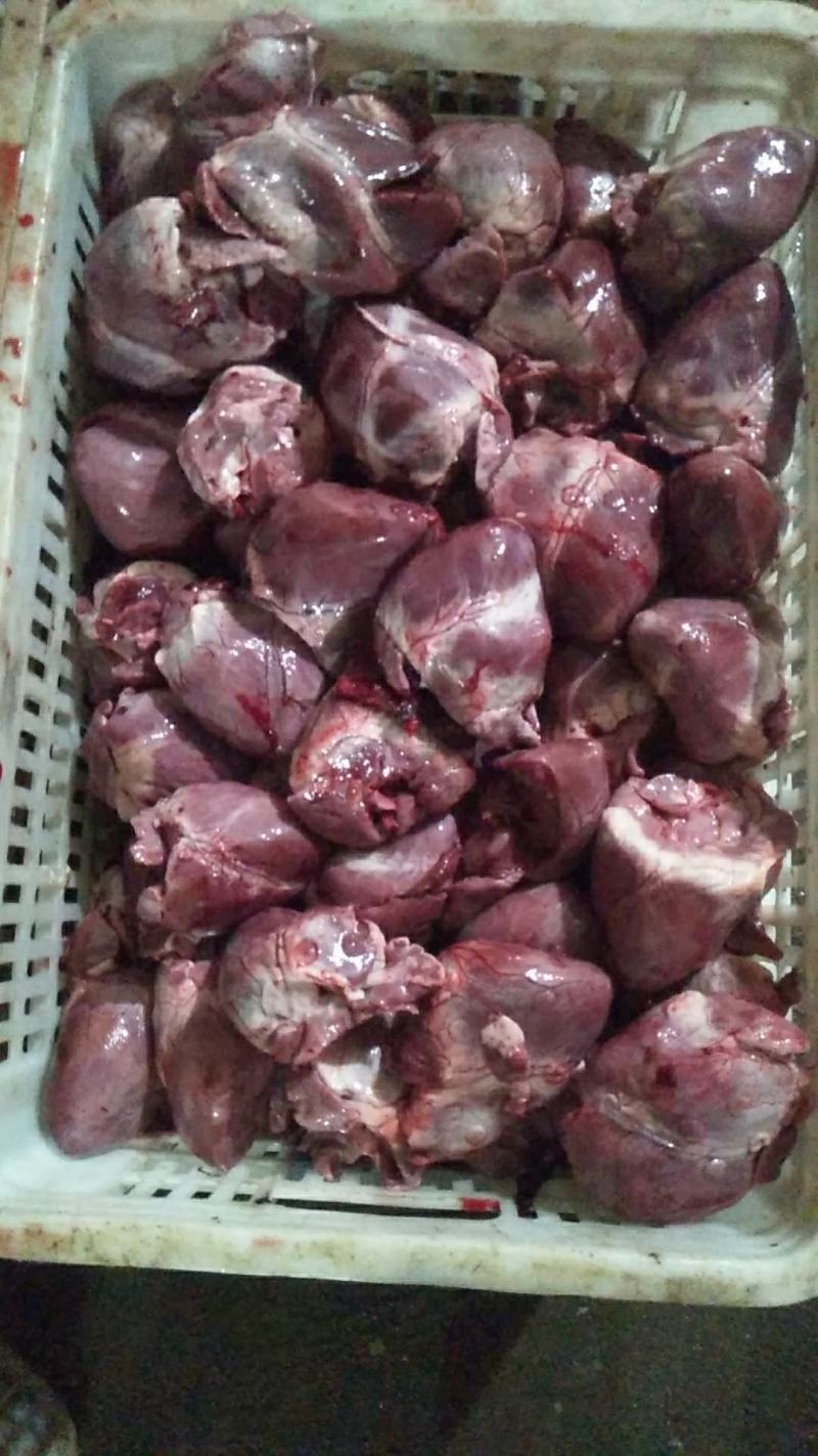山东省临沂市冷裤直销猪肉腿骨