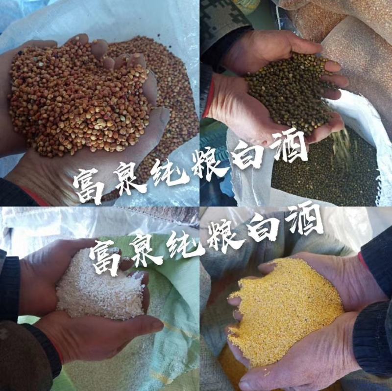 富泉酒坊白酒纯粮食酒清香型高粱酒自酿批发价