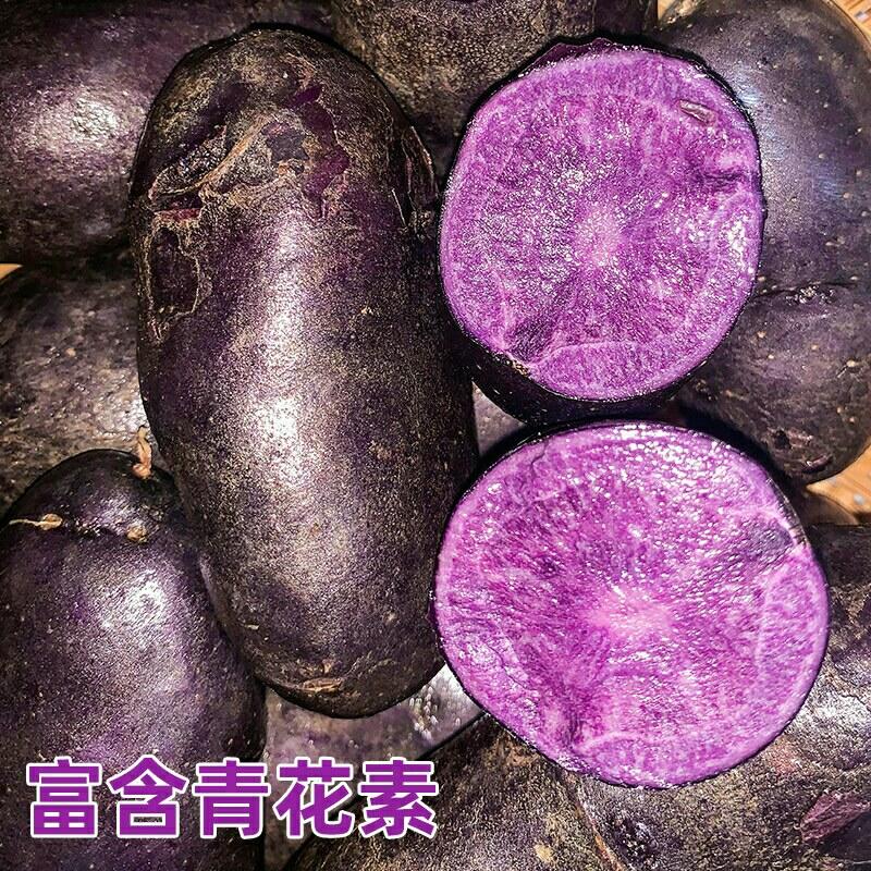 产地直销紫黑土豆新鲜马铃薯