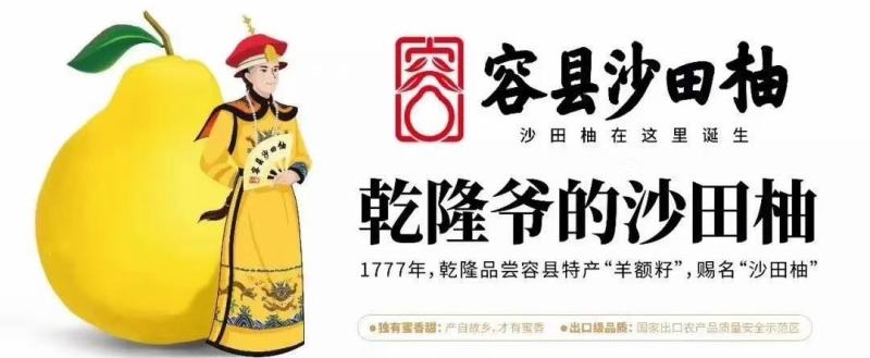 广西柚子容县自良沙田柚，白心纯甜水分足大果靓果欢迎批发商