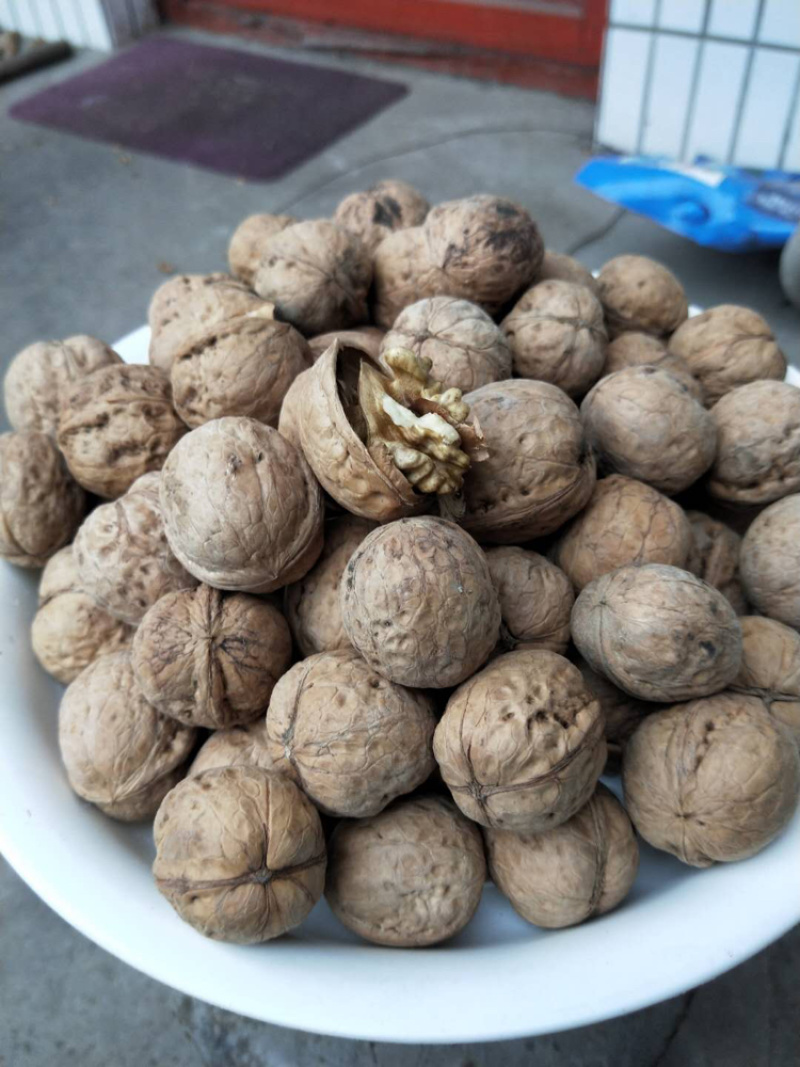 爆款！山西礼品核桃产地直销可视频看货
