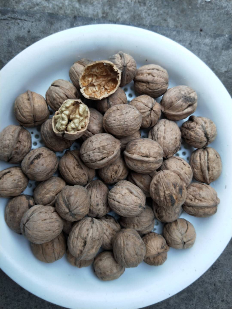 【拼质量拼价格】山西老树核桃，薄皮核桃规格齐全，直销