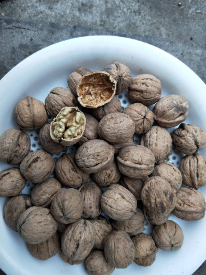 【拼质量拼价格】山西老树核桃，薄皮核桃规格齐全，直销