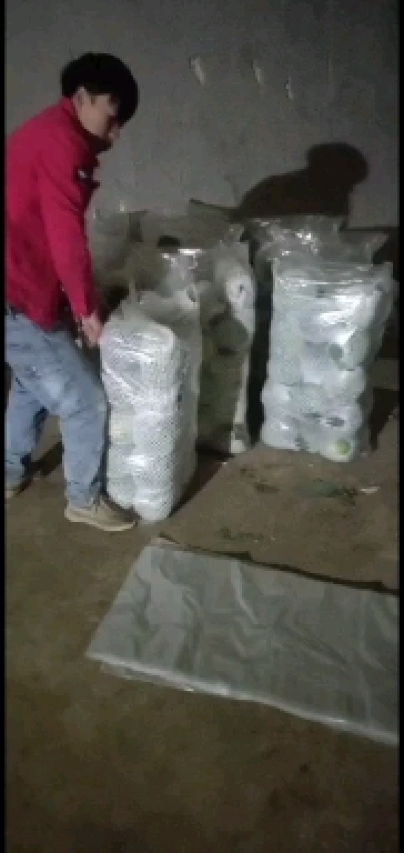 扁包菜圆包菜甘蓝大量上市