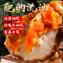现货六月黄江苏大闸蟹螃蟹批发全国一件代发