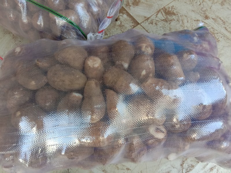 芋头有需要的联系。品质保证。
