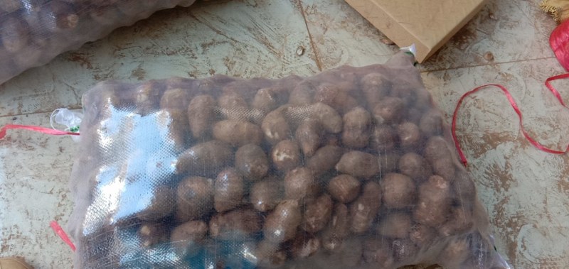 芋头有需要的联系。品质保证。
