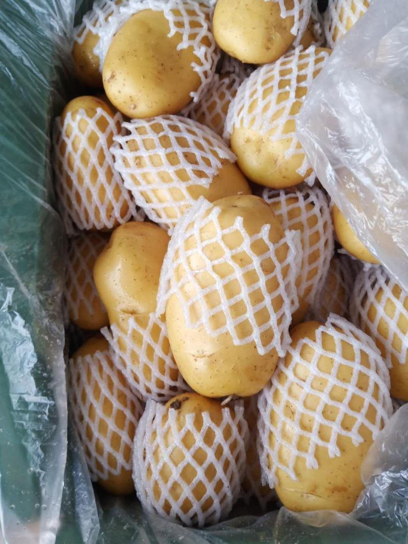 滕州精品土豆，荷兰，V7，沃土，黄皮黄肉，每斤加一毛包邮