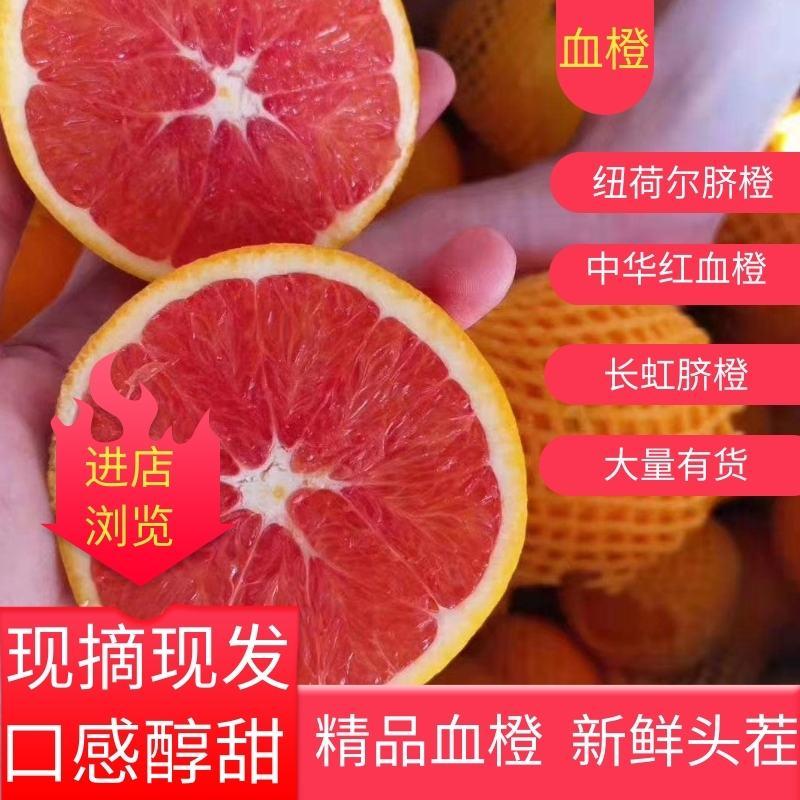 中华红血橙原产地口感甜水分充足甜蜜质量保证现摘现发