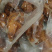德州扒鸡500~700g，餐饮店必备