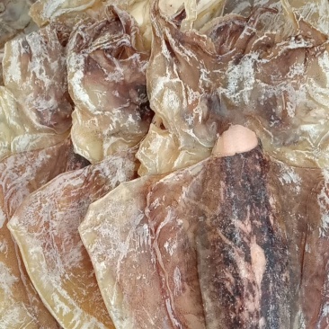 墨鱼干淡干目鱼干一斤二十五个左右的