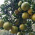 建瓯产地直销芦柑，果大味道好。树上现采，和保鲜的都有。