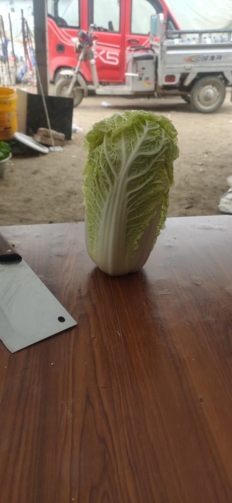 精品大小娃娃菜大量上市