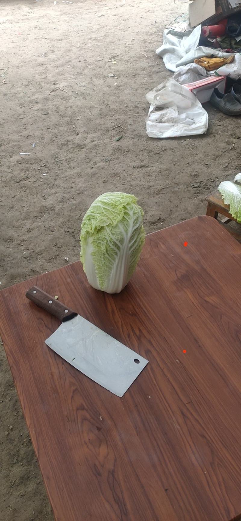 精品大小娃娃菜大量上市