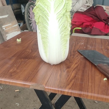 精品大小娃娃菜大量上市