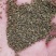 【热销榜TOP3】芹菜籽，药用芹菜籽，可做调料和药厂提取