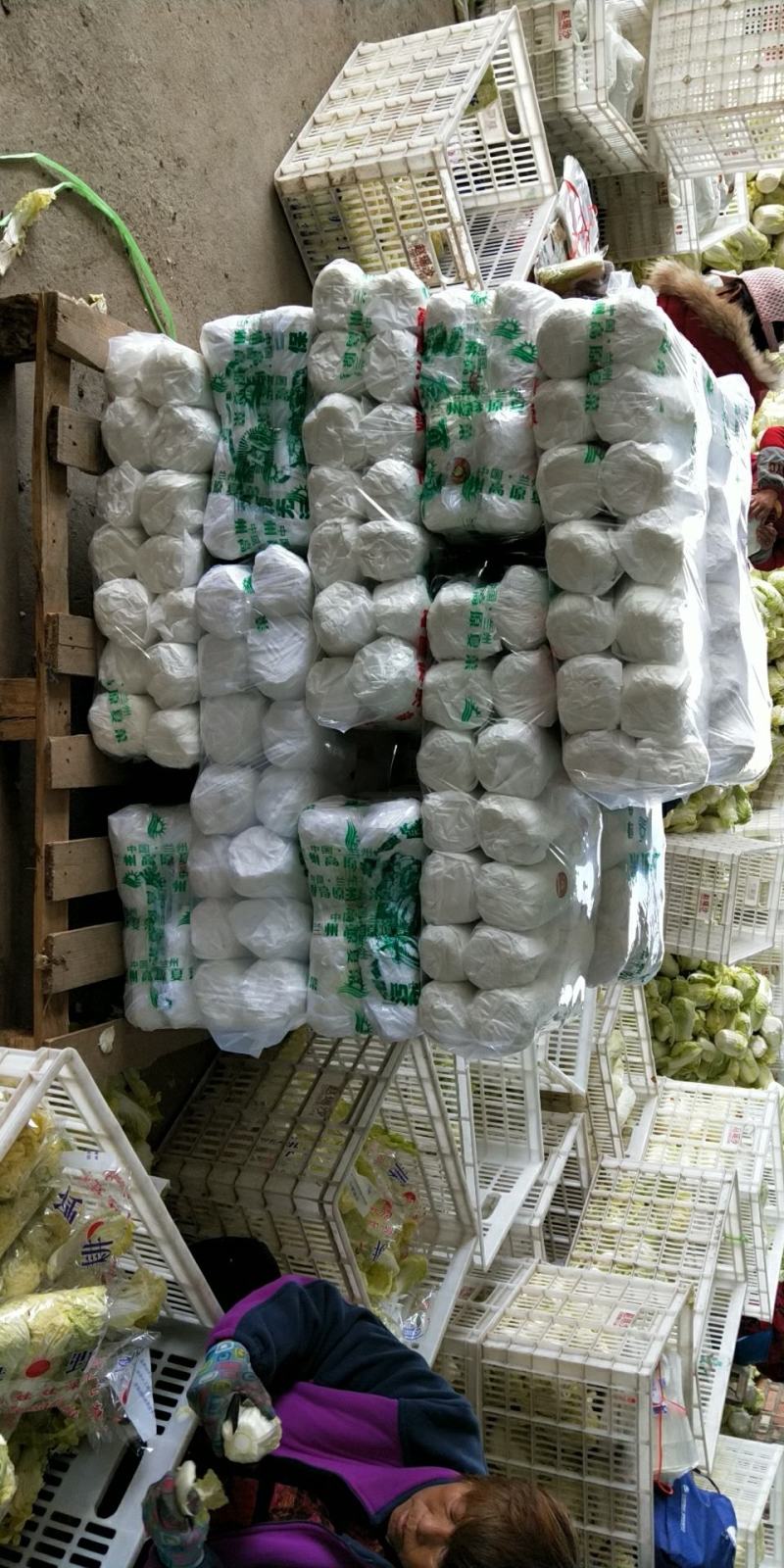 精品大小娃娃菜大量上市