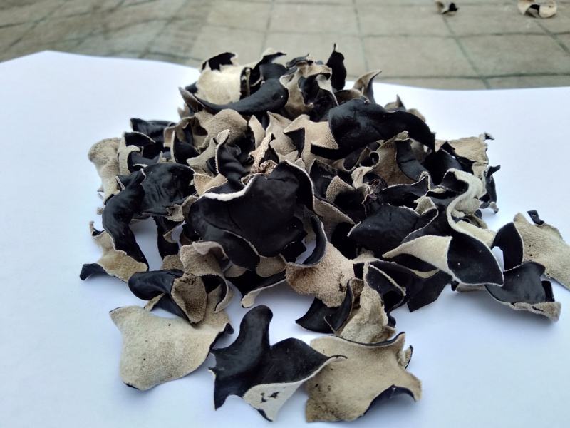精品毛木耳丝工厂价格产地直销当季新货量大从优