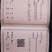 【什么种子适合育苗】八棱海棠种子嫁接砧木专用指导种植技术