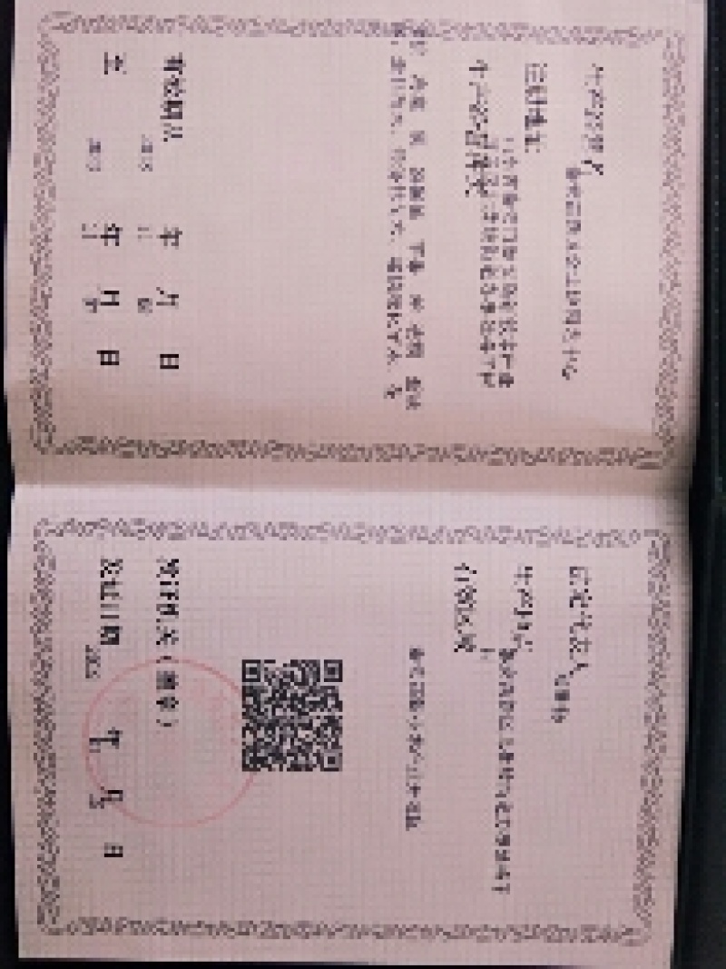 【什么种子适合育苗】八棱海棠种子嫁接砧木专用指导种植技术
