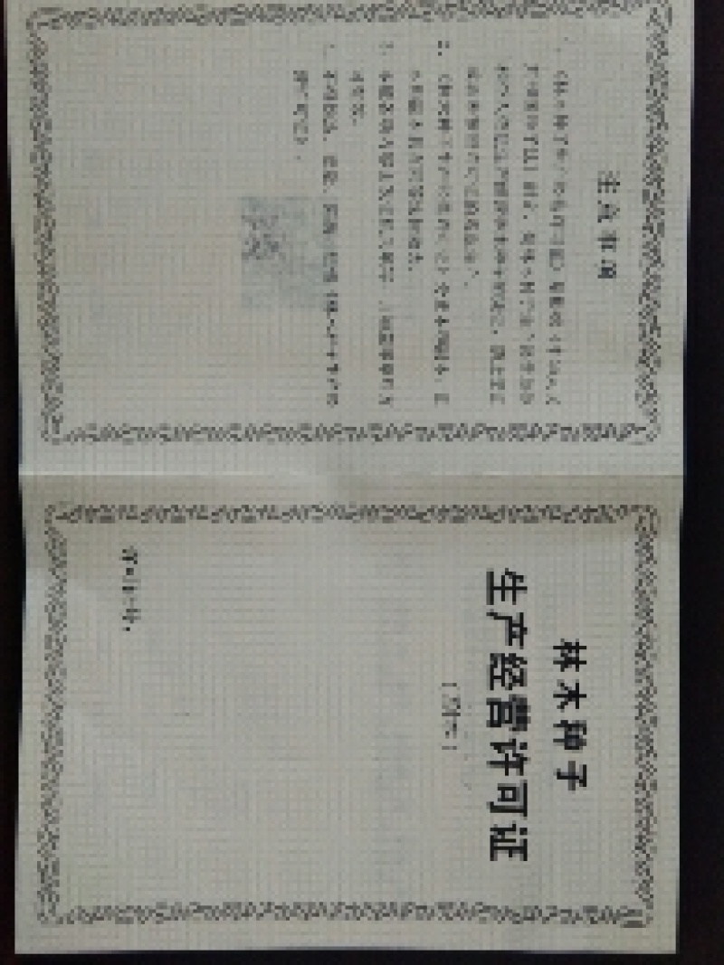 【什么种子适合育苗】八棱海棠种子嫁接砧木专用指导种植技术