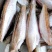 小龙鱼，雷鱼，鱼干，煎，炒，炖，煮，炸，
