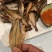 小龙鱼，雷鱼，鱼干，煎，炒，炖，煮，炸，