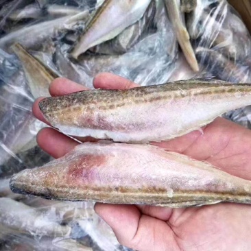小龙鱼，雷鱼，鱼干，煎，炒，炖，煮，炸，