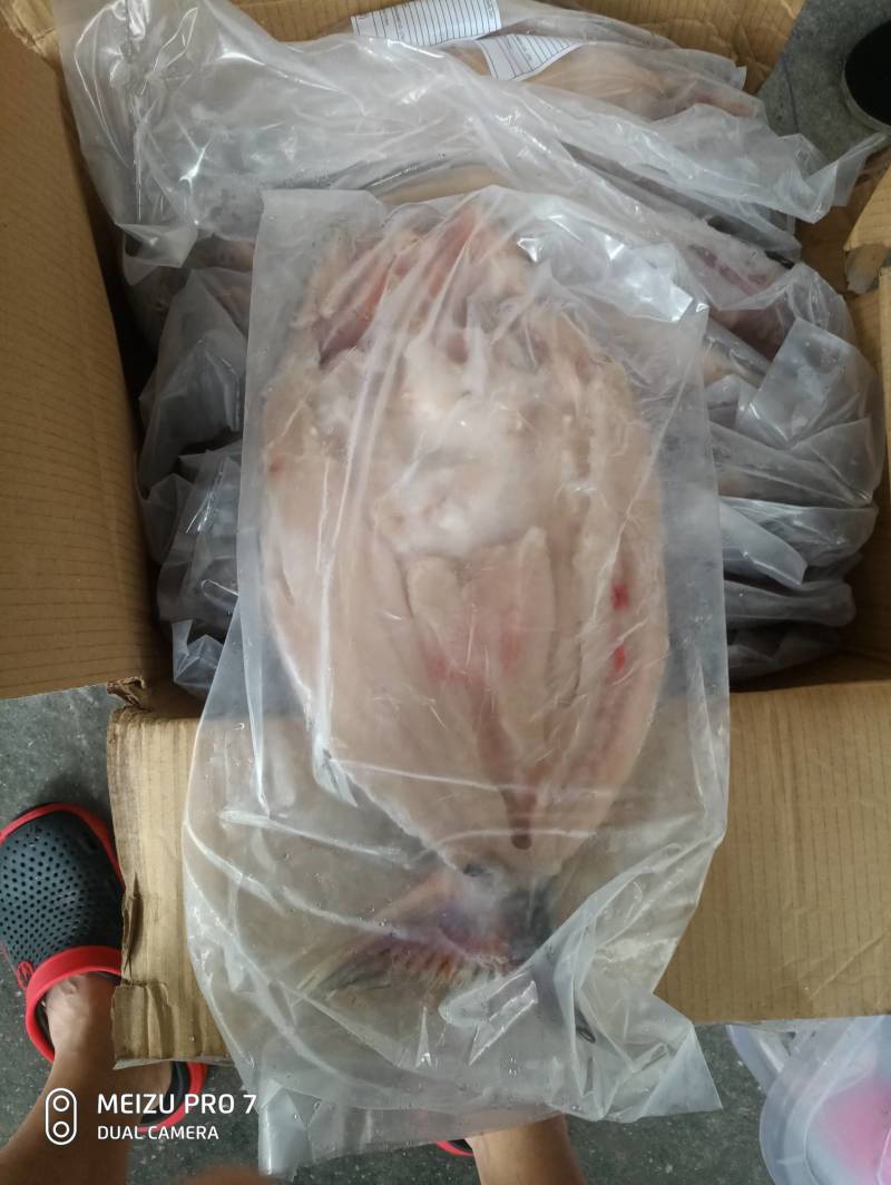 越南开背反骨腌制巴沙鱼.