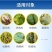 氯溴异氰尿酸90%含量农用杀菌剂青枯病可溶性粉剂