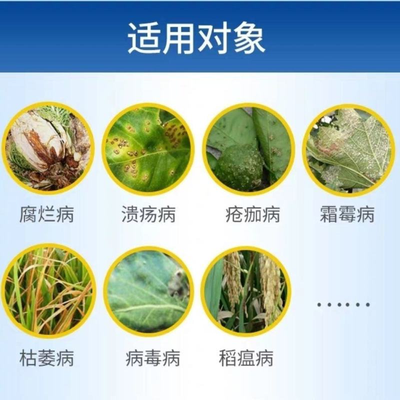 氯溴异氰尿酸90%含量农用杀菌剂青枯病可溶性粉剂