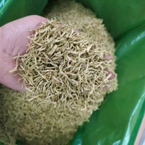 金银花双花二花支持线上交易可搭配多品种采购大货联系