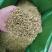 金银花双花二花支持线上交易可搭配多品种采购大货联系
