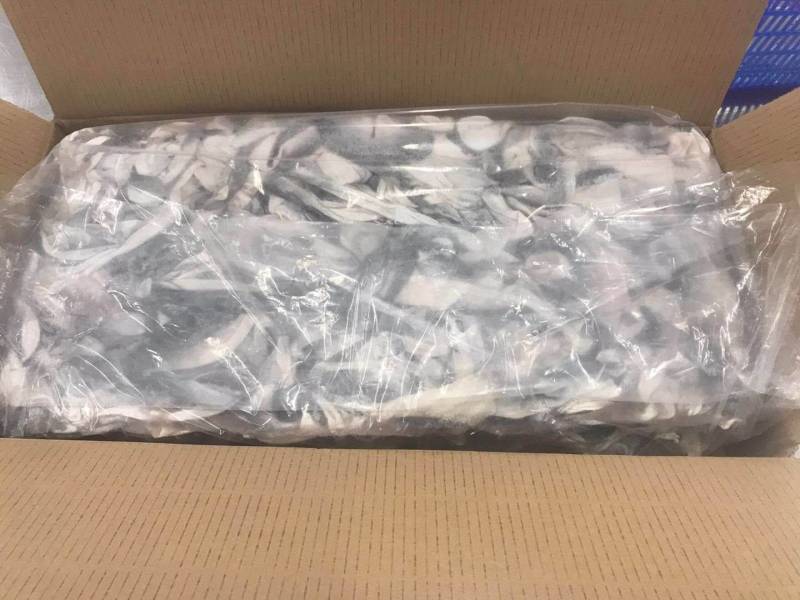 越南大片干净巴沙鱼皮