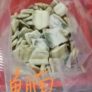 国产叉尾鮰鱼无油鱼腩