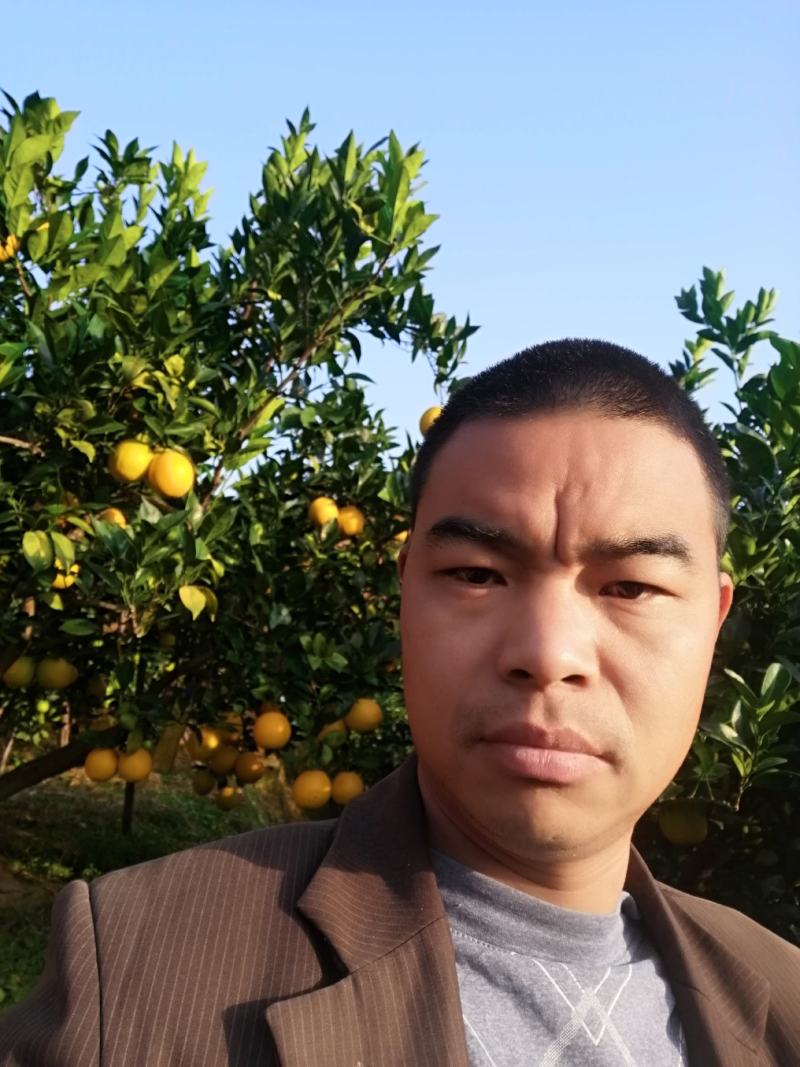 江西赣南脐橙，正宗小岭脐橙。