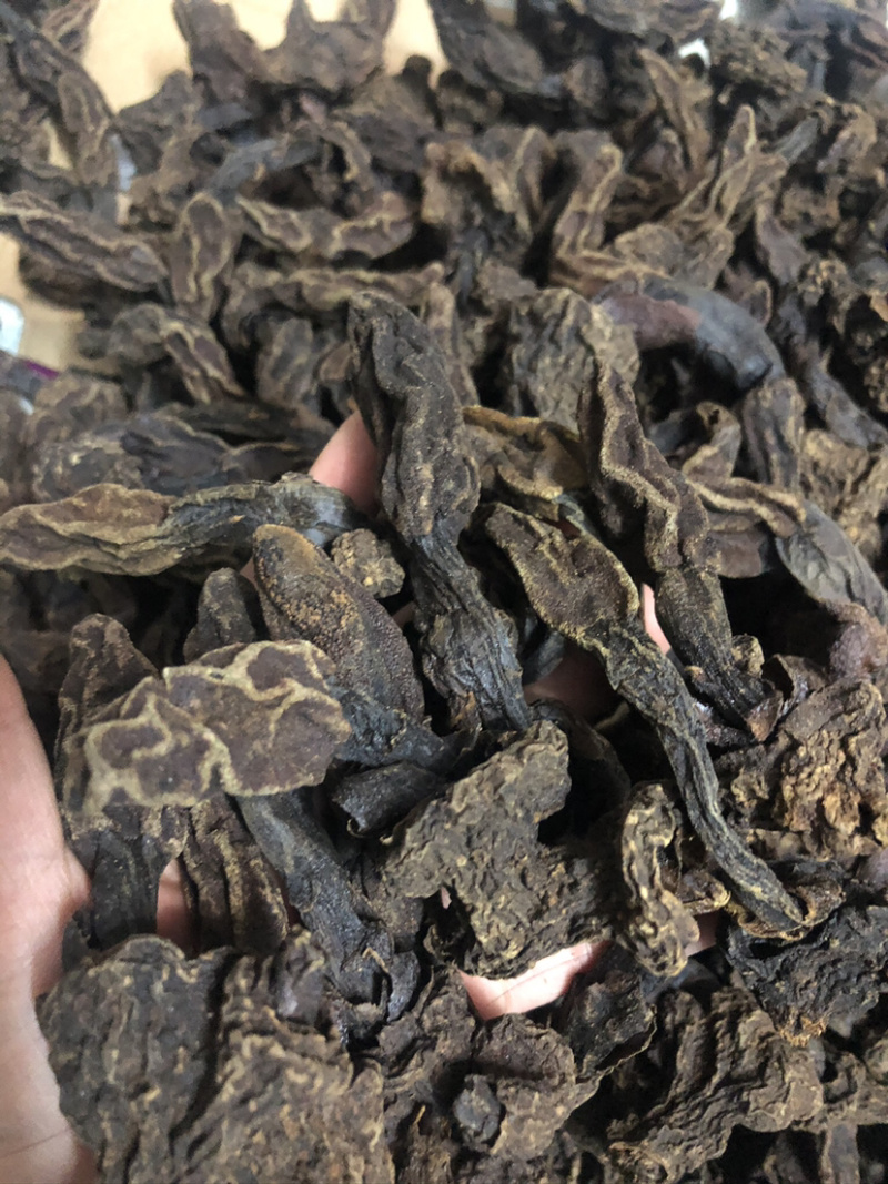 大瑶山野生回春草顶天柱泡酒好料物流晒干