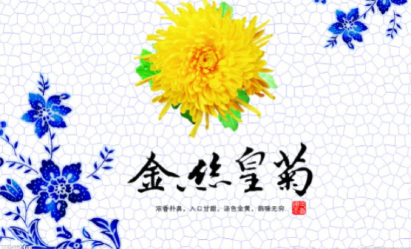 【网红产品】金丝皇菊茶特级品质全国发货