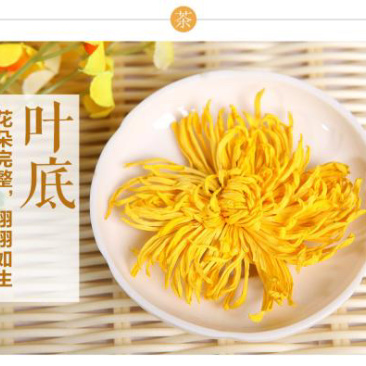 【网红产品】金丝皇菊茶特级品质全国发货